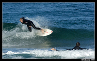 surfers north narrabeen 39