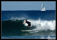 surfers north narrabeen 4