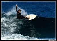 surfers north narrabeen 41