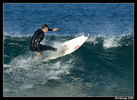 surfers north narrabeen 81