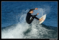 surfers north narrabeen 82